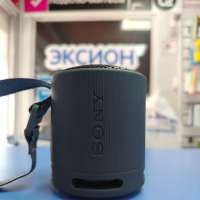 Sony SRS-XB100