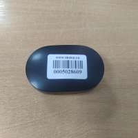 Xiaomi Mi True Wireless Earbuds Basic 2
