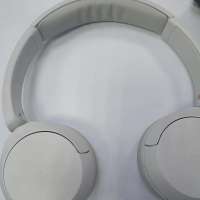 Sony WH-CH520