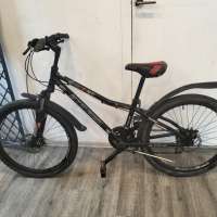 Stinger Boxxer D 24