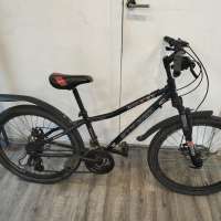 Stinger Boxxer D 24