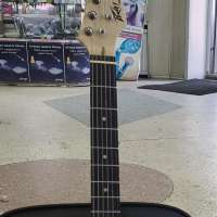 Peavey Raptor Plus