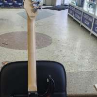 Peavey Raptor Plus