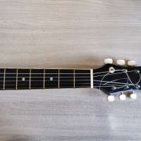 Colombo LF-3800CT TBK