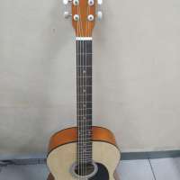 Homage LF-3900 N