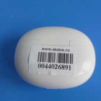 Realme Buds T110
