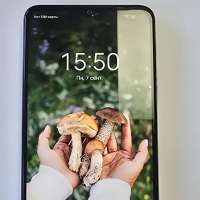 TECNO Spark 10 4/128GB Duos