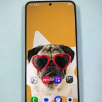 Samsung Galaxy S25 FE 8/256GB Duos
