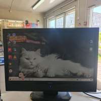 BenQ MK2443