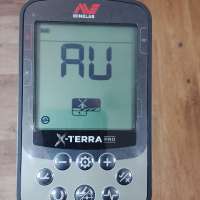 Minelab X-Terra Pro
