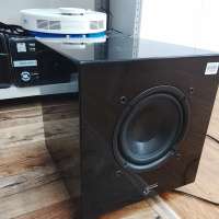 Ace Bass Pro B5