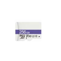 microSD 256GB 10Class