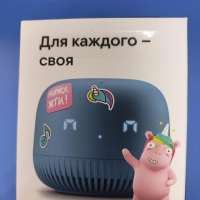 VK Капсула Нео с СЗУ