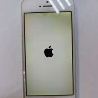 Apple iPhone 5S 16GB