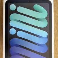Apple iPad mini 6 2021 256GB
