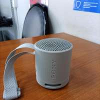 Sony SRS-XB100