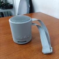 Sony SRS-XB100