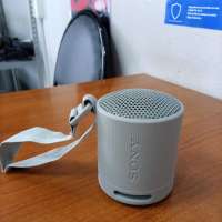 Sony SRS-XB100