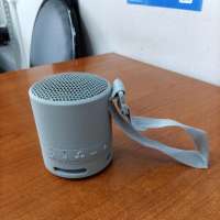 Sony SRS-XB100