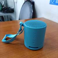 Sony SRS-XB100