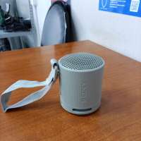 Sony SRS-XB100