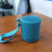 Sony SRS-XB100