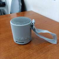 Sony SRS-XB100