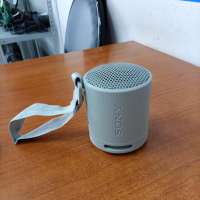 Sony SRS-XB100