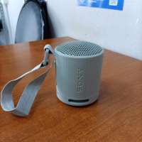Sony SRS-XB100