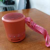 Sony SRS-XB13