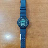 Casio Collection WSC-1250H