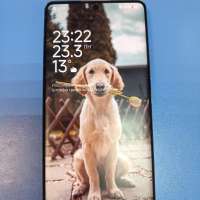 Xiaomi Redmi Note 14 Pro 8/256GB Duos