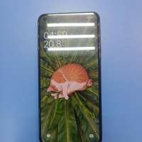Xiaomi 11 Lite 5G NE 6/128GB Duos