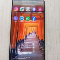 Samsung Galaxy S22 Ultra 12/512GB Duos