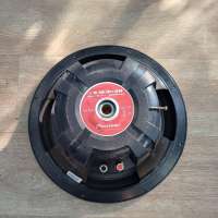 Pioneer TS-W304R