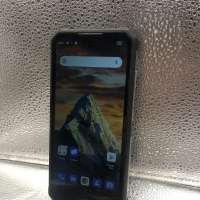 OUKITEL WP19 Pro 8/256GB Duos