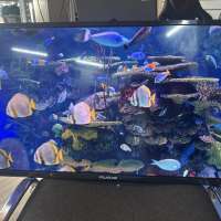 Polarline 32PL13TC-SM