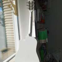 Belucci BC3810
