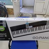 Roland GO-61P