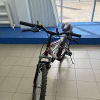 Torrent Adrenalin