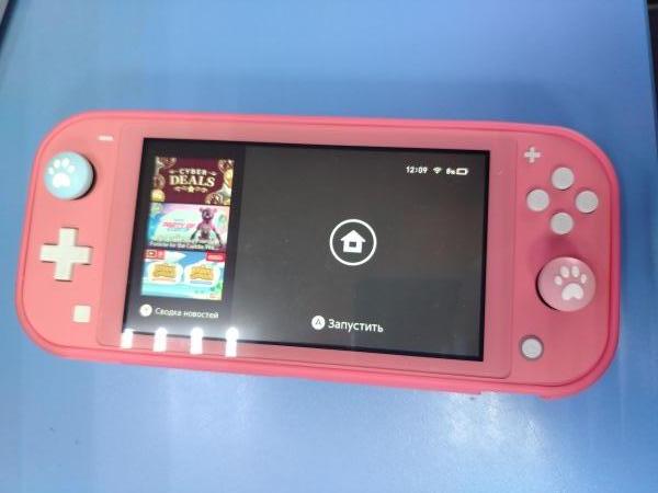 Купить Nintendo Switch Lite (HDH-001) в Ангарск за 10700 руб.