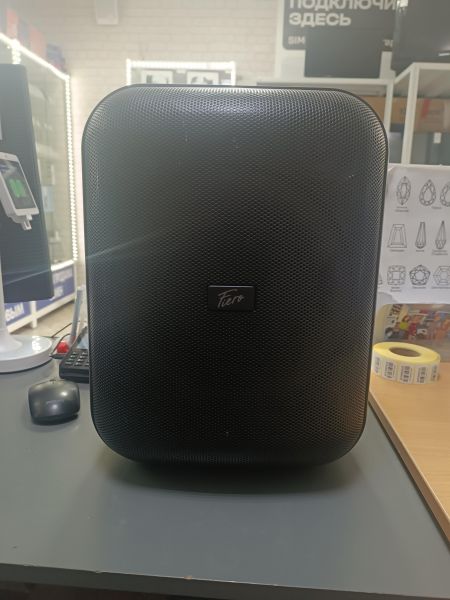 портативная колонка Fiero Emotion 100 (FR800) в Ангарск