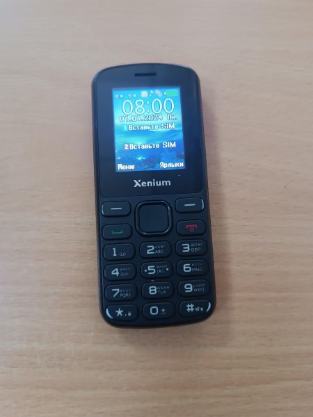 сотовый телефон Xenium X170 Duos в Ангарск