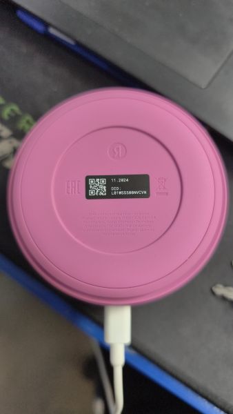 Купить Яндекс Станция Лайт 2 (YNDX-00026) с СЗУ в Черемхово за 3100 руб.