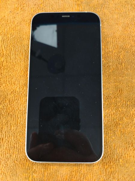 Купить Apple iPhone 12 128GB в Иркутск за 17400 руб.