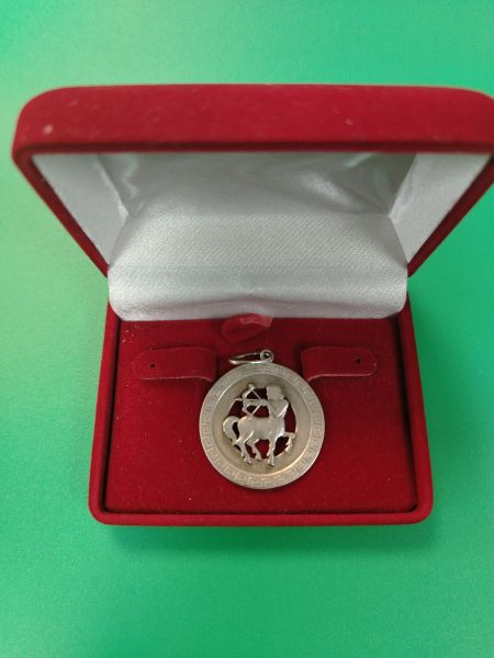 серебряная подвеска Подвеска серебро 925 4,12g, вес изделия 4.12g в Иркутск
