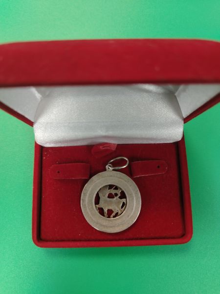 серебряная подвеска Подвеска серебро 925 4,12g, вес изделия 4.12g в Иркутск