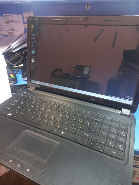 Купить DNS A15A (15.6/Cel-B830/2GB/320GB/GT-555M) в Иркутск за 4100 руб.