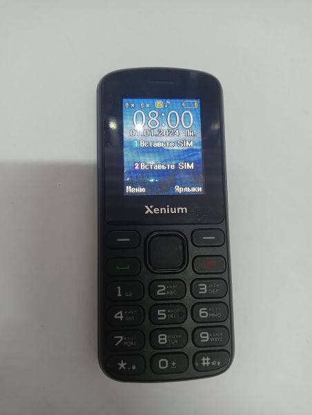 Купить Xenium X170 Duos в Иркутск за 849 руб.