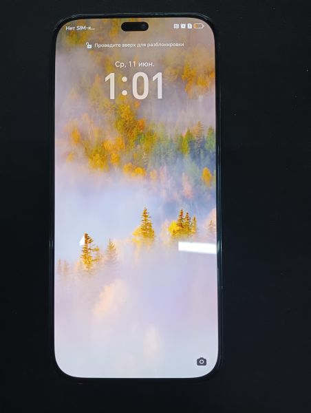 Купить Honor 200 Lite 8/256GB (LLY-NX1) Duos в Иркутск за 10900 руб.